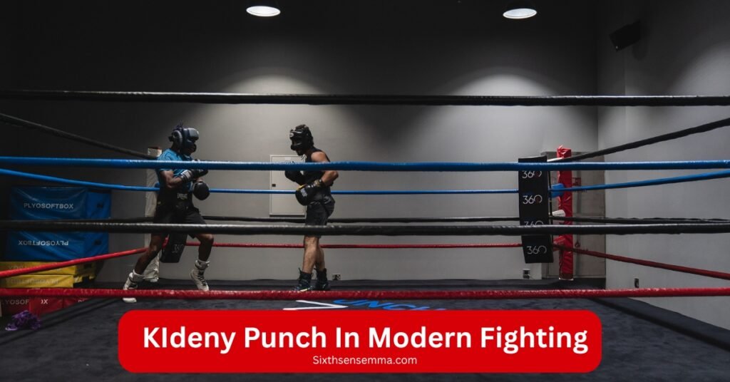 KIdeny Punch In Modern by sixth sense mmaFighting