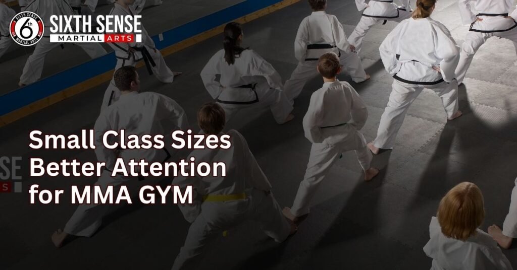 Small Class Sizes Better Attention for MMA GYM by sixthsensemma.com