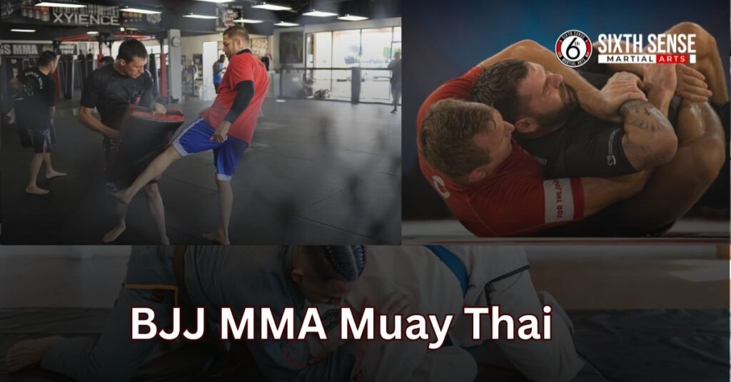 type ofmartial arts BJJ MMA Muay Thai by sixthsensemma.com
