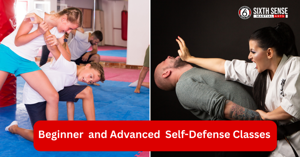 Beginner  and Advanced  Self-Defense Classes