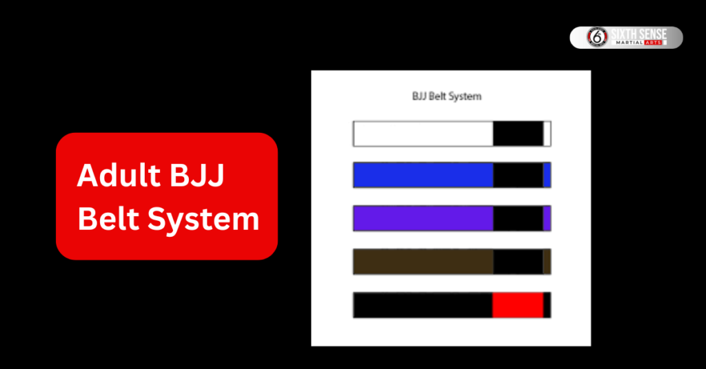 Adult BJJ Belt System