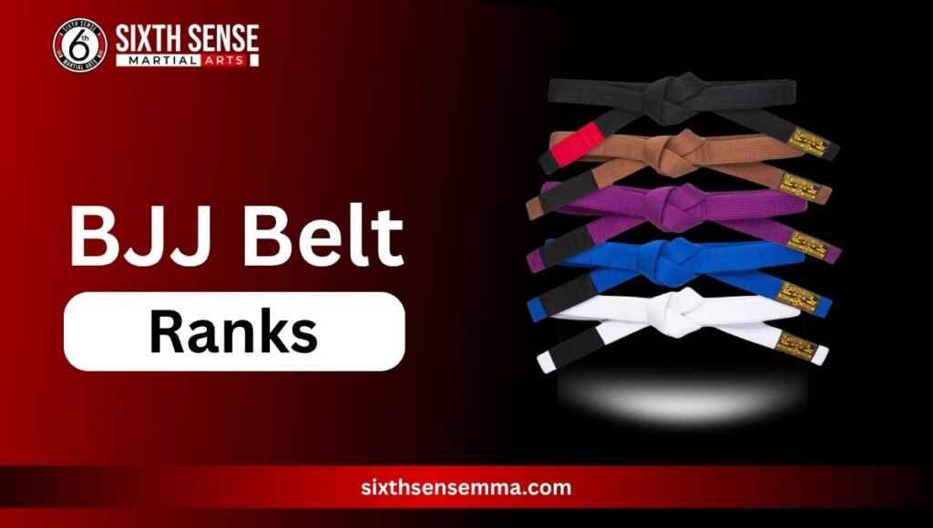 BJJ Belt Ranks: A Look at the Brazilian Jiu-Jitsu Ranking System
