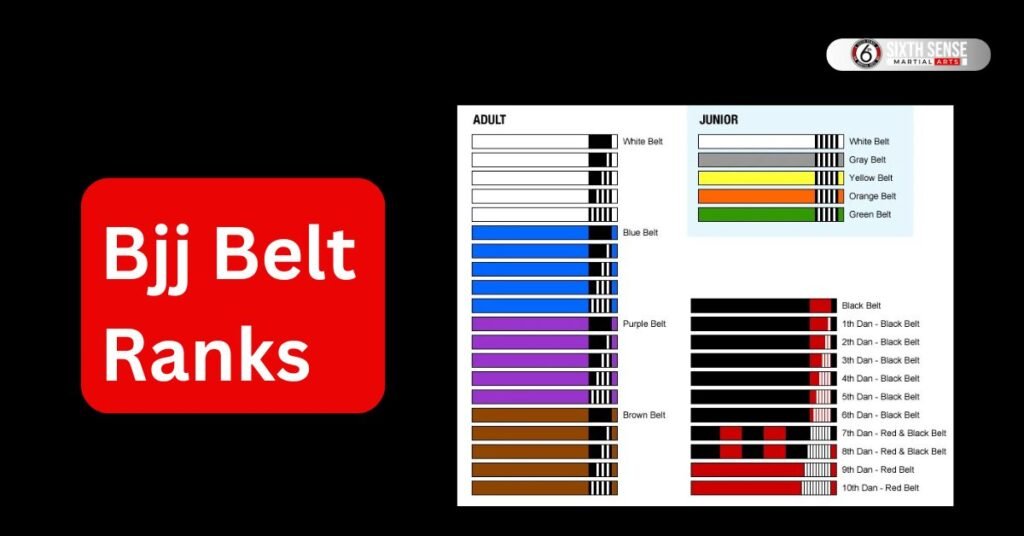 BJJ Belt Ranks: A Look at the Brazilian Jiu-Jitsu Ranking System