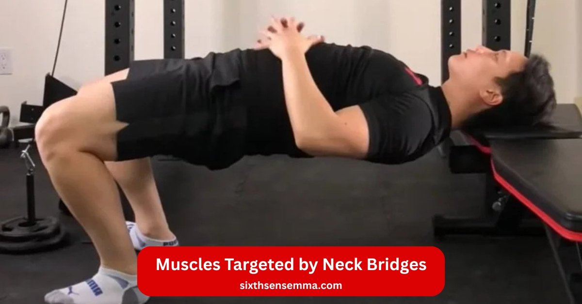 Muscles Targeted by Neck Bridges