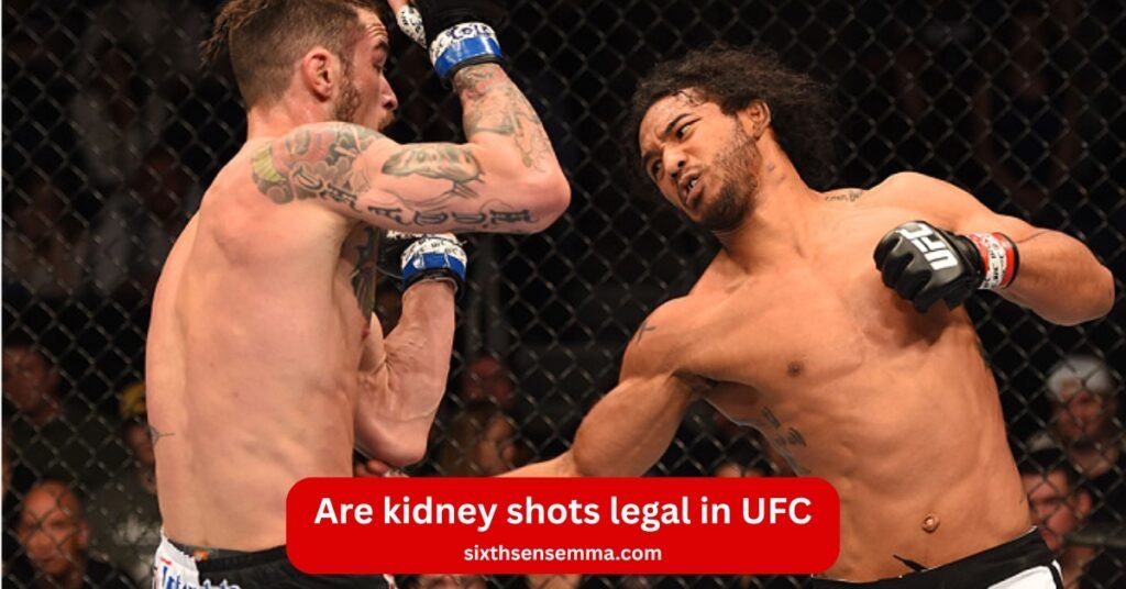 Are kidney shots legal in UFC