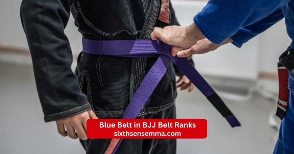 BJJ Belt Ranks