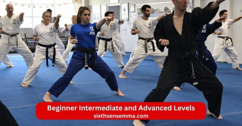 Family Martial Arts Classes Fun Safe & Confidence Building Training Beginner Intermediate and Advanced Levels