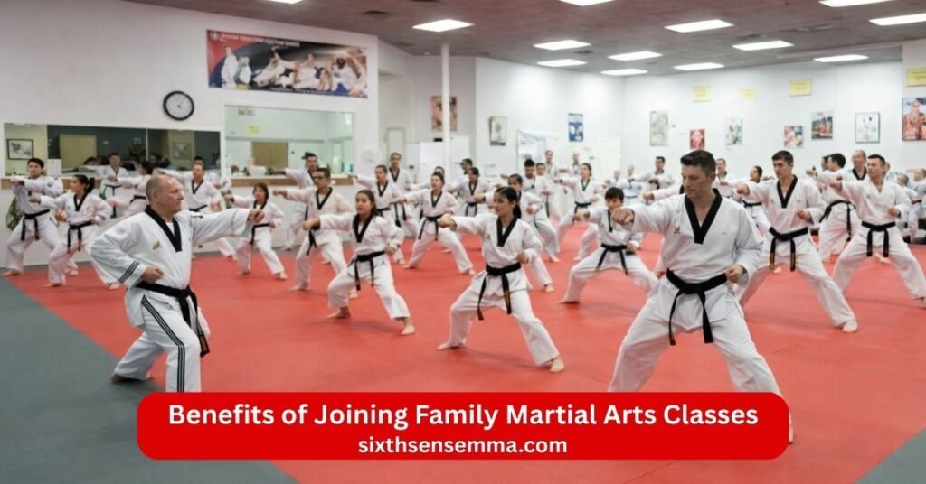 Family Martial Arts Classes Fun Safe & Confidence Building Training Benefits of Joining Family Martial Arts Classes