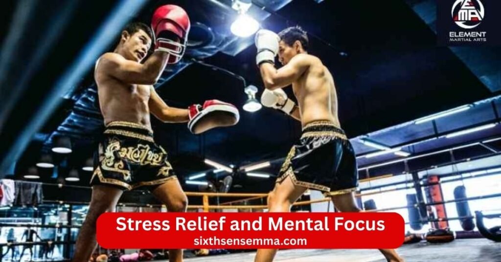 Stress Relief and Mental Focus